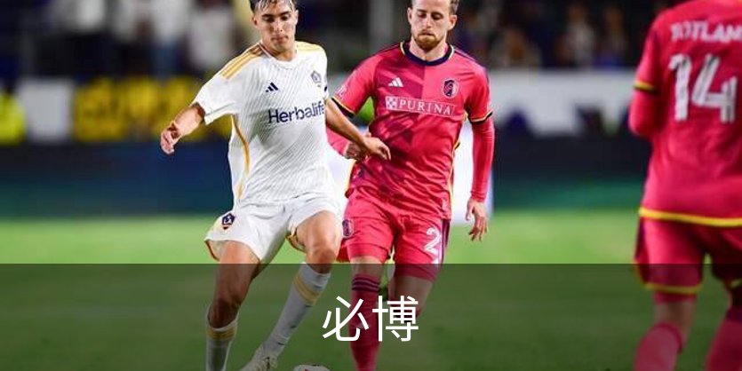 必博概况